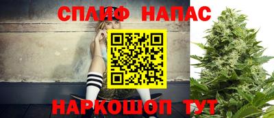 СК Гагарин