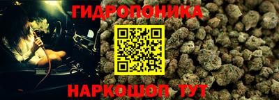 дживик Гатчина